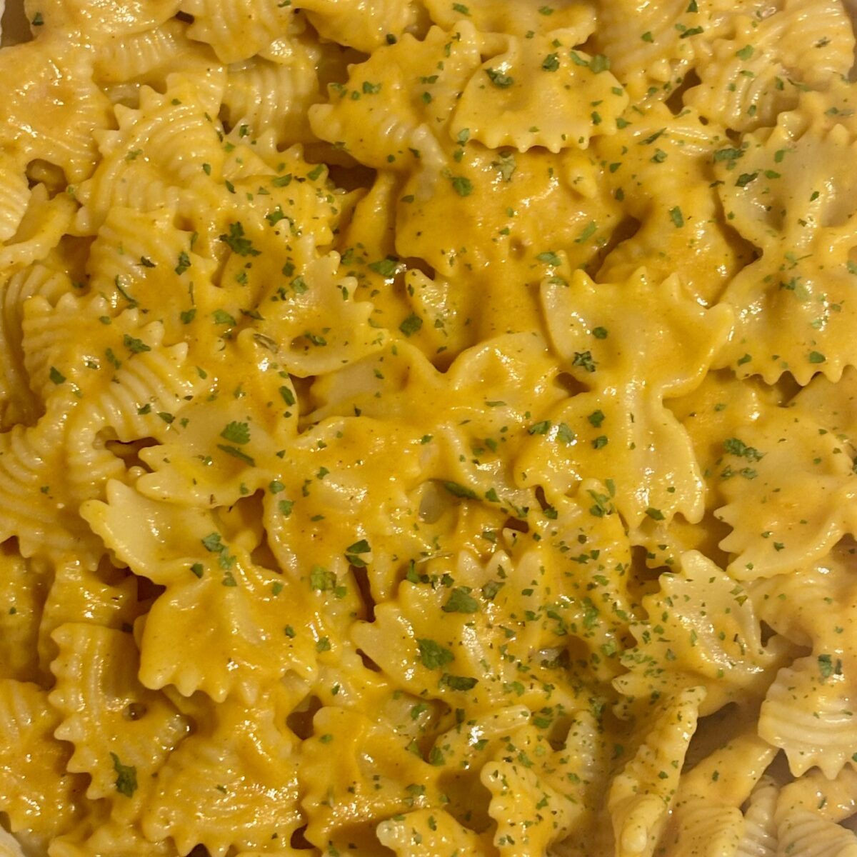 A Better Pasta With Butternut Squash Sauce