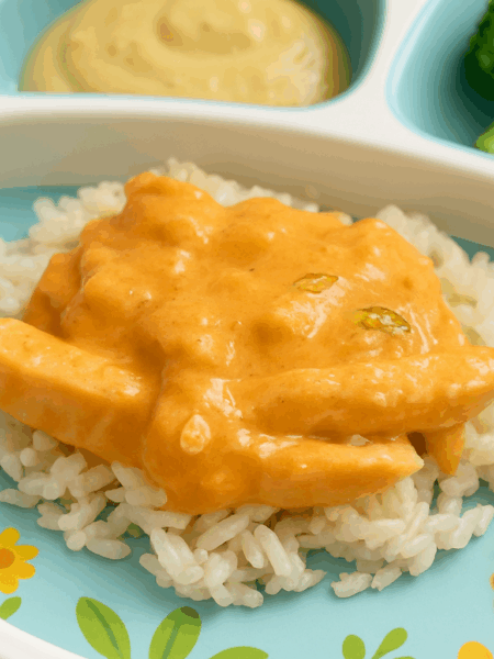 Chicken in a creamy sauce over rice--otherwise known as brazilian chicken stroganoff--is shown on a toddler plate.