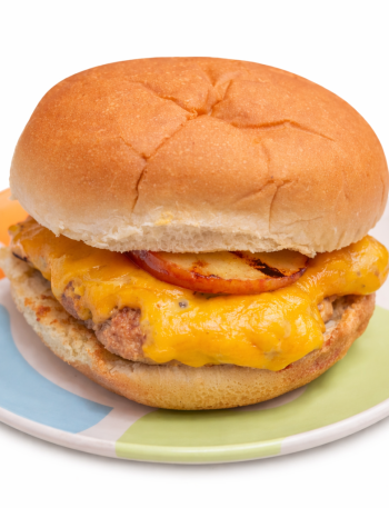 A cheddar apple turkey burger for kids is shown on a colorful plate.