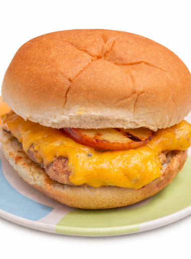 A cheddar apple turkey burger for kids is shown on a colorful plate.